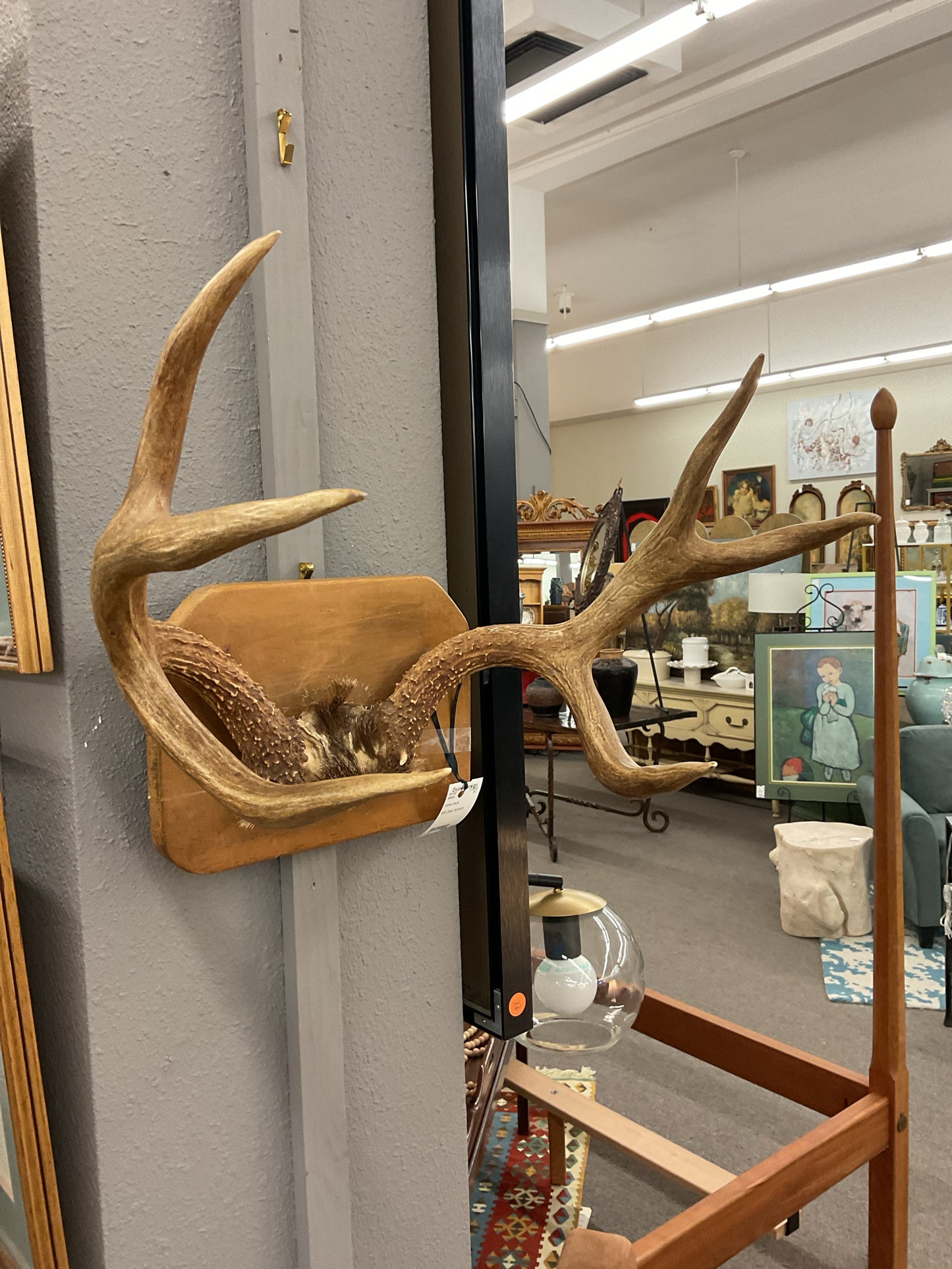 Antlers