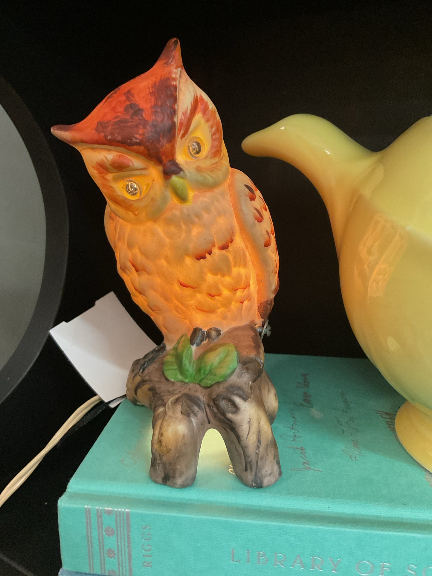 Owl