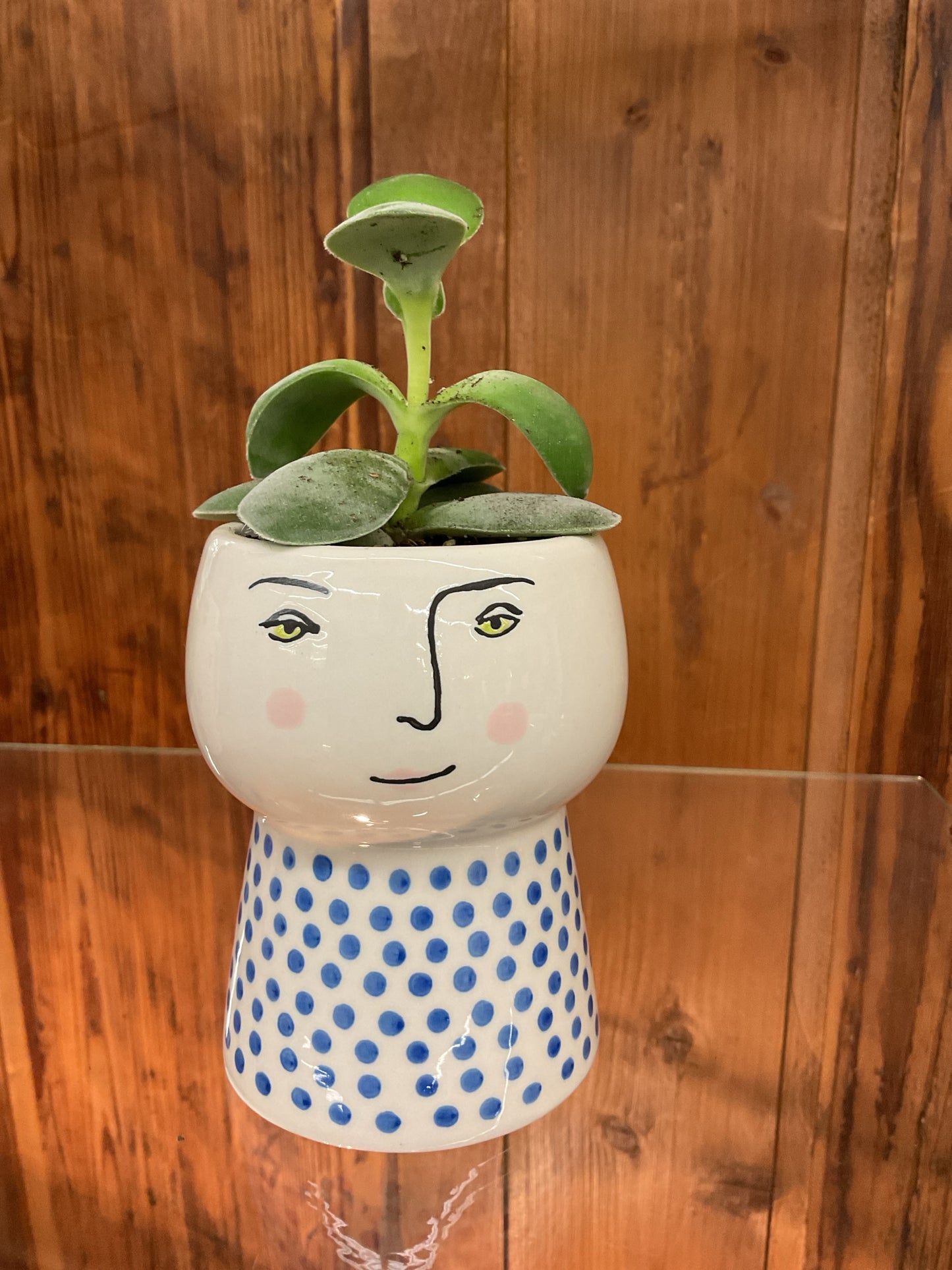 Potted