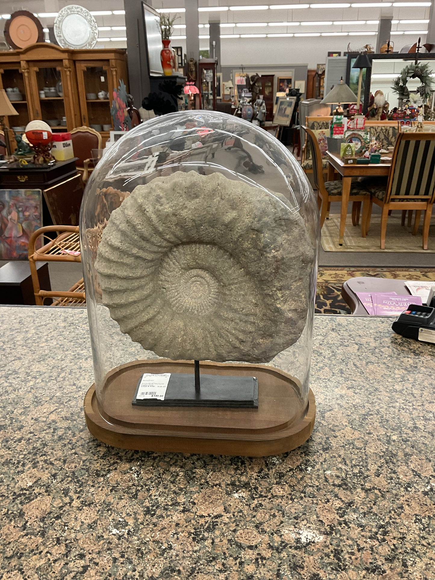 Oval Glass Cloche Dome (as found)