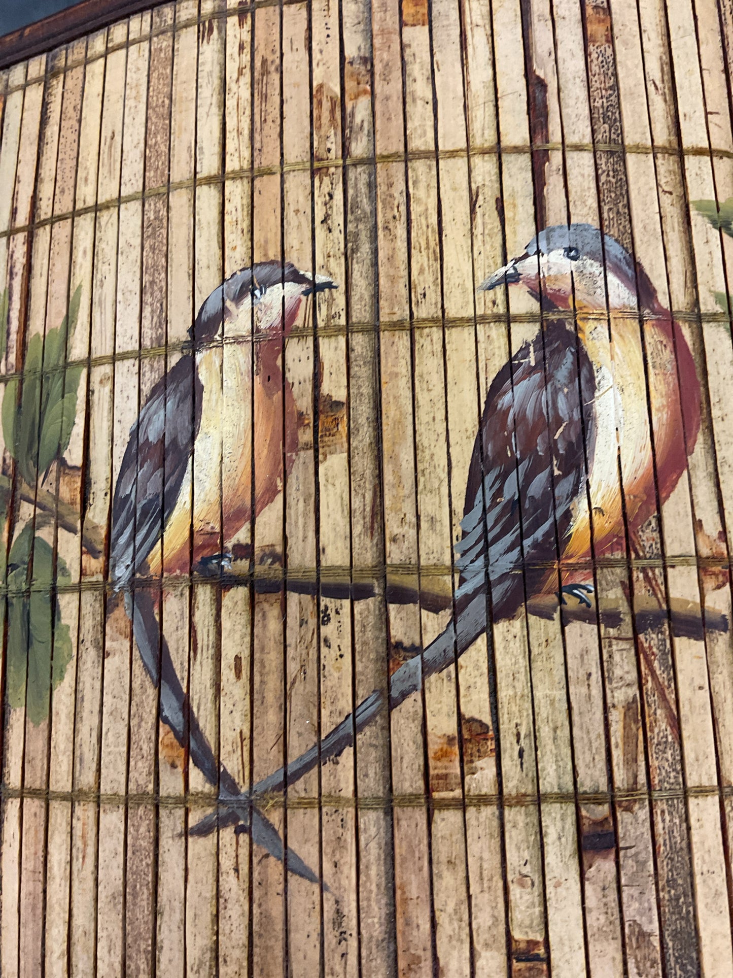 Colorful Bird Box