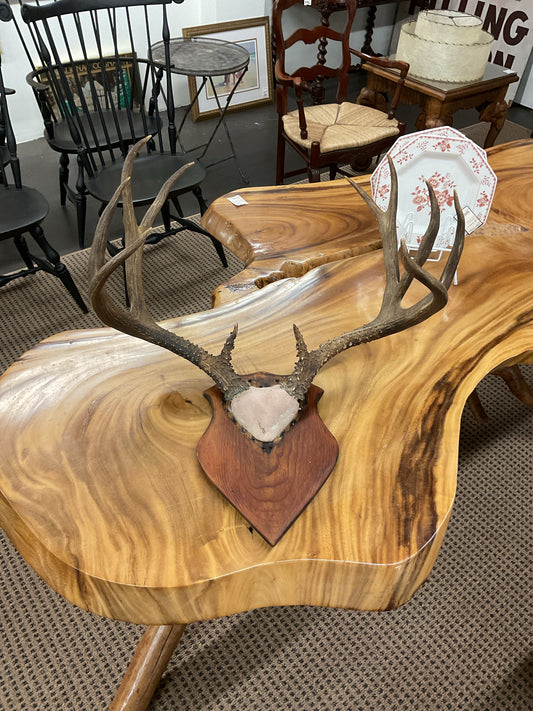 Wall Hanging Antlers