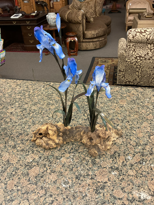 Irises Flower Display