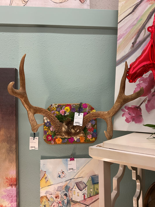 Antlers