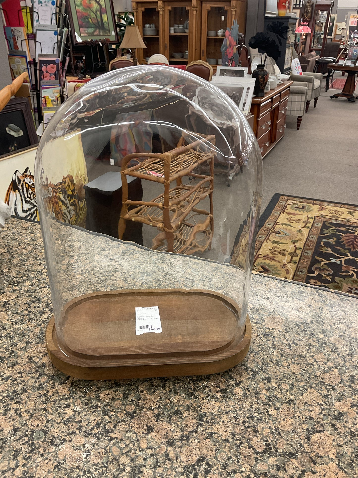 Oval Glass Cloche Dome (as found)