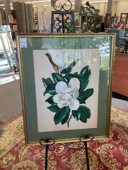 Jean Rathborne Watercolor Painting of Magnolias